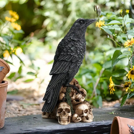 The Raven of Skull Island